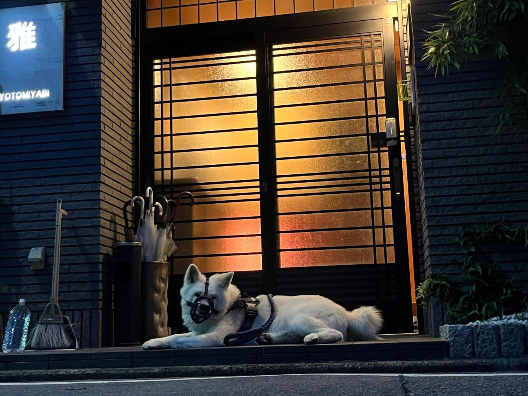 雅 Otel Kyoto Dış mekan fotoğraf